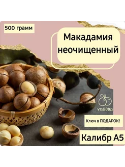 Орех Макадамия Товар72 201958971 купить за 382 ₽ в интернет-магазине Wildberries