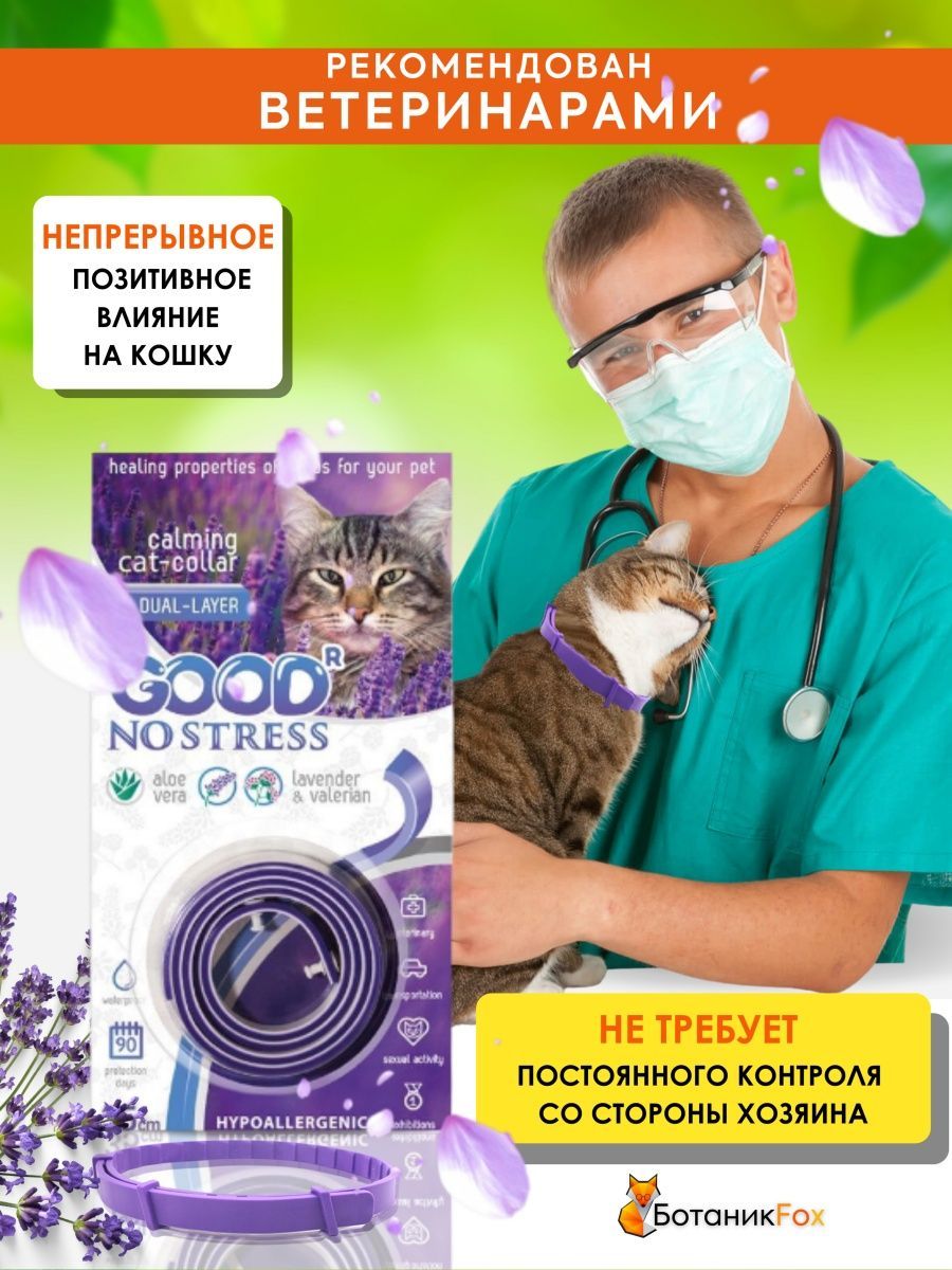 No stress для кошек