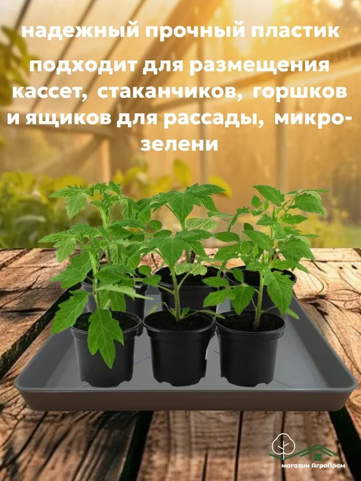Урожай Поддон 10шт. в комплекте, универсальный 26х26х3см, 10 шт, фото 3
