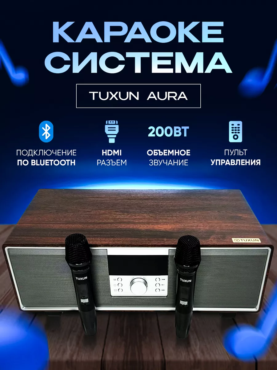 Караоке система для дома Tuxun 202163141 купить за 39 853 ₽ в  интернет-магазине Wildberries