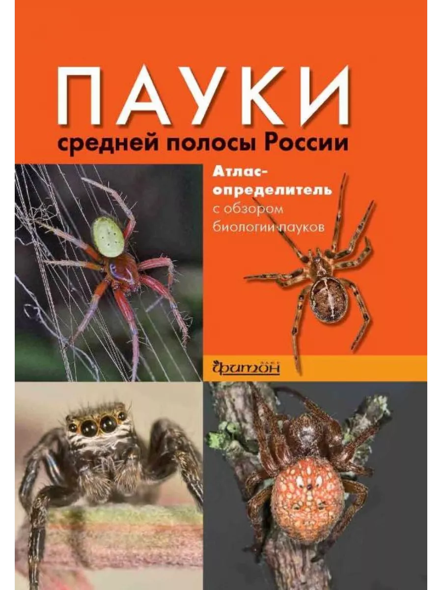 Пауки средней полосы России Фитон XXI 202309846 купить за 4 092 ₽ в  интернет-магазине Wildberries