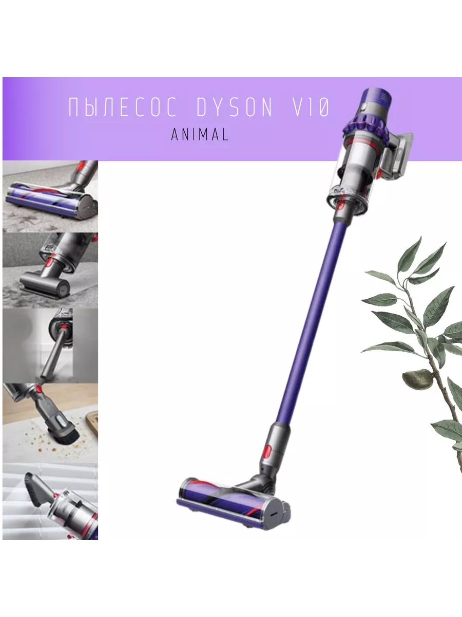Dyson cyclone v10 animal discount