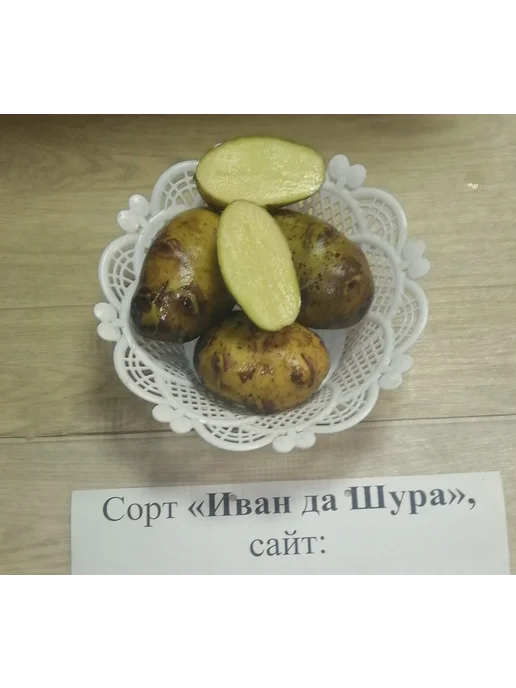 АЛГОР-ЭКОПРОДУКТ Картофель Иван да Шура - 10 шт, 10 шт, фото 3