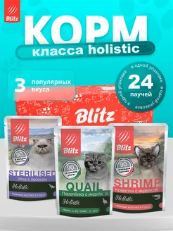 Корм для кошек влажный холистик паучи BLITZ 202472192 купить за 1 886 ₽ в интернет-магазине Wildberries