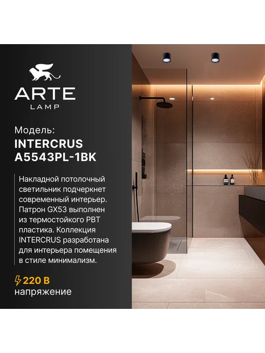 Arte Lamp Точечный накладной светильник INTERCRUS A5543PL-1BK, черный, фото 2