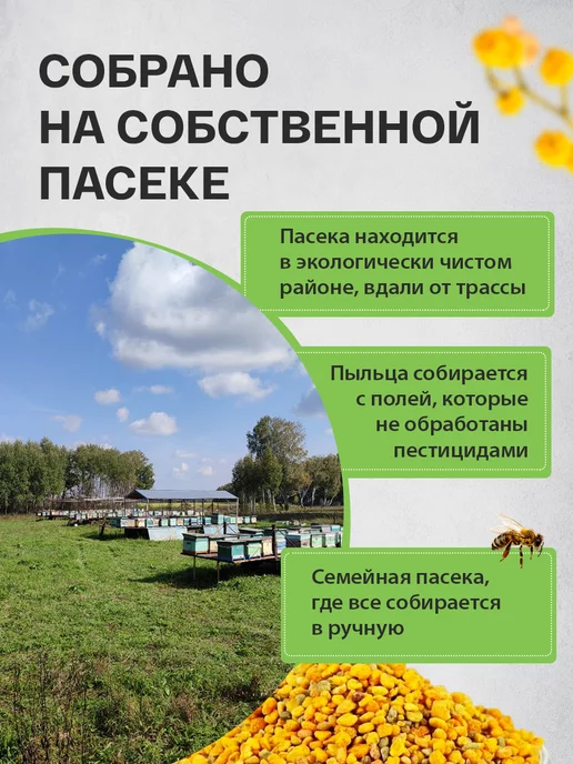 Пасека КФХ Сериков П.П. Пыльца пчелиная цветочная 300гр. (сбор 2026г), 300 г, 2026 г, фото 2