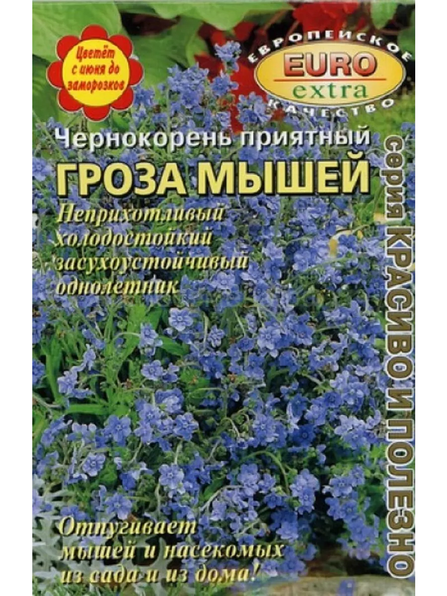 Семена чернокорень приятный ГРОЗА МЫШЕЙ 202690930 купить в  интернет-магазине Wildberries