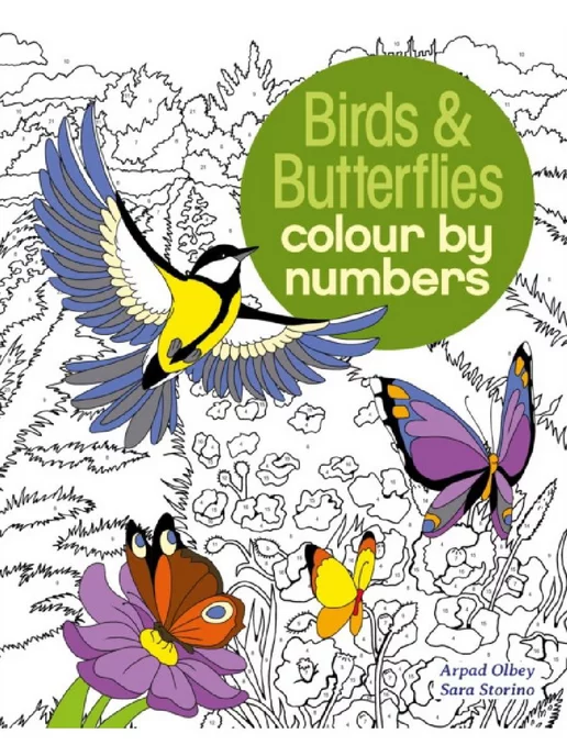 Arcturus Colour by Numbers Birds & Butterflies