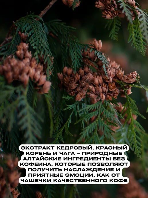 Рифмы Здоровья Напитки Eleo без кофеина, ассорти, 4 уп. по 150 г, 150 г, фото 3