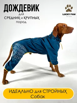 Дождевик комбинезон для собак LuckyPaw 202787300 купить за 1 559 ₽ в интернет-магазине Wildberries