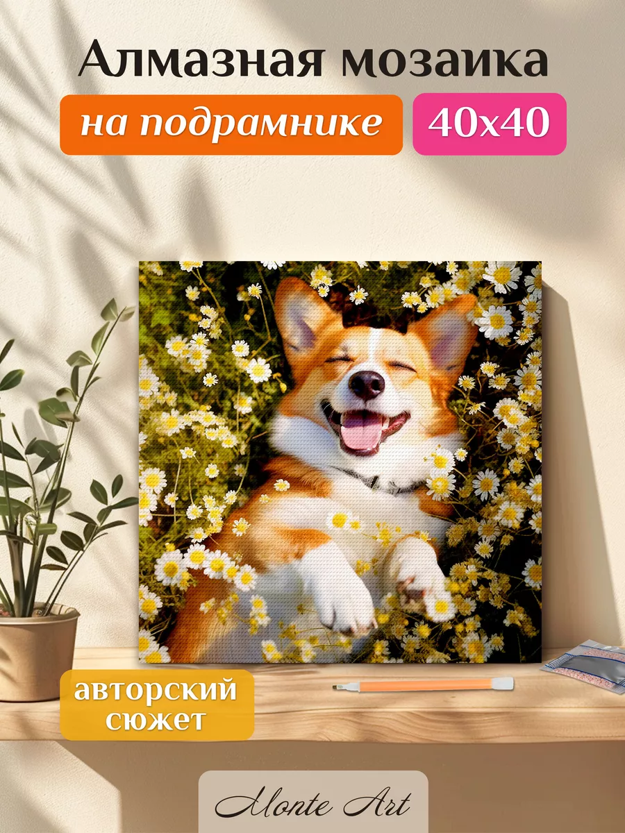 Алмазная мозаика 40х40...