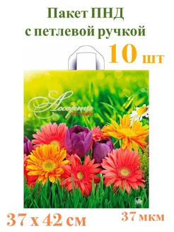 Пакет подарочный с петлевой ручкой ПНД -10 шт 202844201 купить за 170 ₽ в интернет-магазине Wildberries