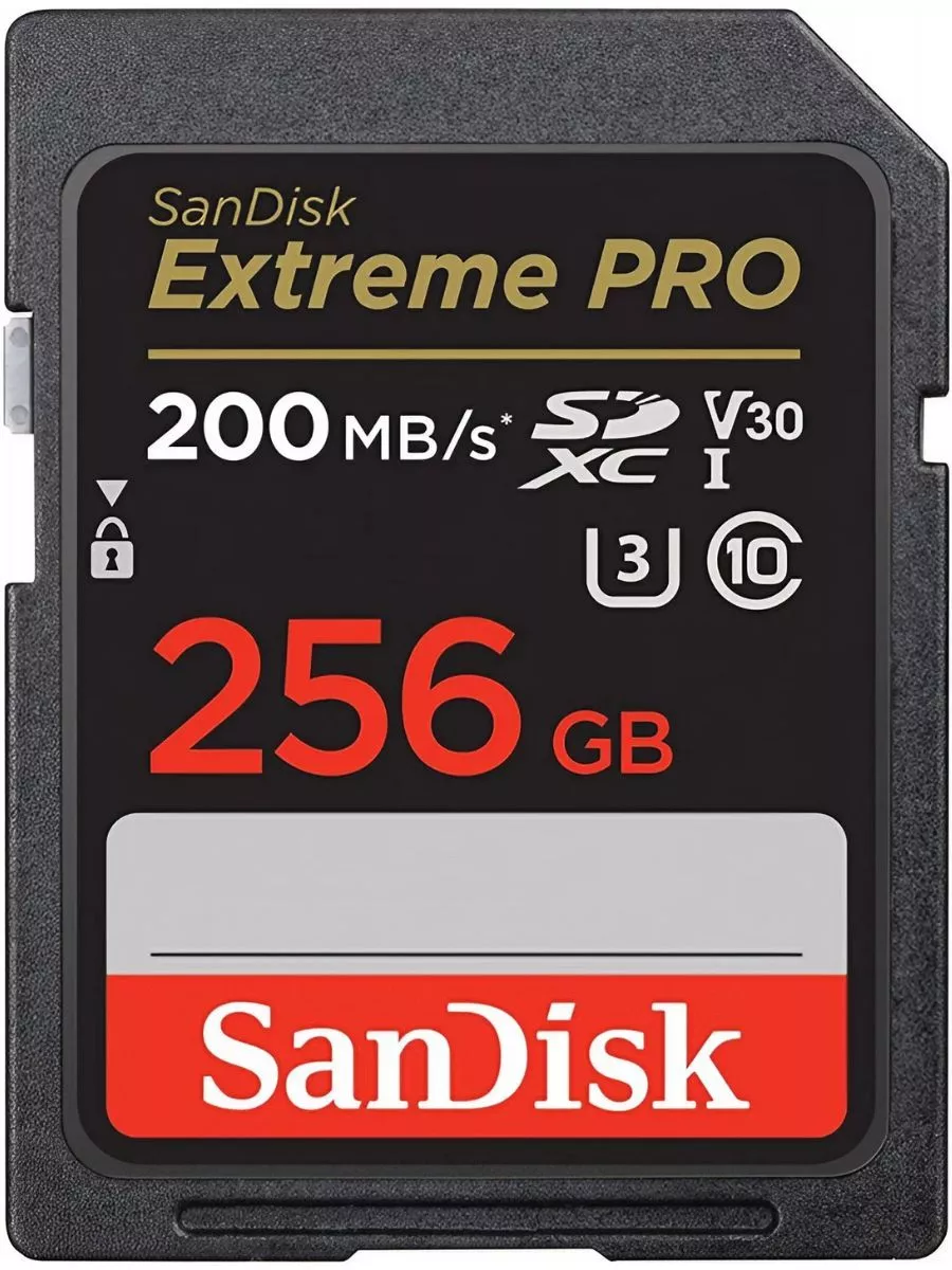 Карта памяти 256 ГБ для фотоаппарата SD СД Sandisk 202846821 купить за 7  869 ₽ в интернет-магазине Wildberries