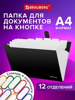 Папка для документов А4 на кнопке канцелярская 12 отд Brauberg 202856537 купить за 315 ₽ в интернет-магазине Wildberries