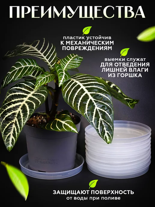 KOMPLEKT PLASTIC поддоны для цветочных горшков прозрачные, вариант, фото 3