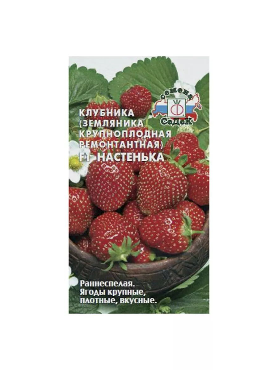 Семена Земляники крупноплодная ремонтантная Настенька F1 СеДек 203019686 купить за 166 ₽ в интернет-магазине Wildberries