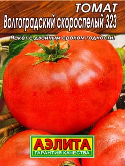 Семена - Томат Волгоградский скороспелый 323 Аэлита 203031350 купить за 148 ₽ в интернет-магазине Wildberries