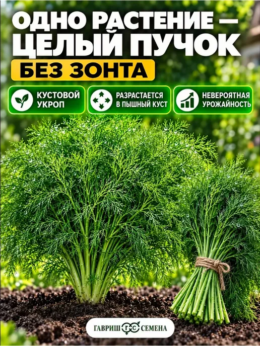 Гавриш оригинал Семена Зелени Укропа Без Зонта, зеленый, фото 2