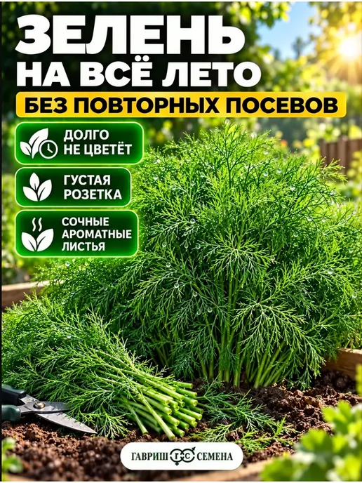 Гавриш оригинал Семена Зелени Укропа Без Зонта, зеленый, фото 3