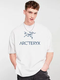 Оверсайз футболка ARCTERYX memes by CoLepen 203087983 купить за 700 ₽ в интернет-магазине Wildberries