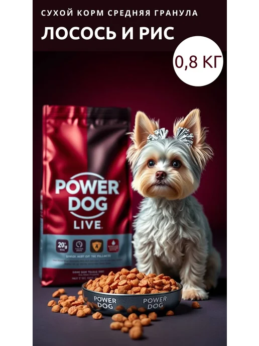 Сухой корм PowerDogLife Кг. для собак, средние, лосось, 0,8 кг