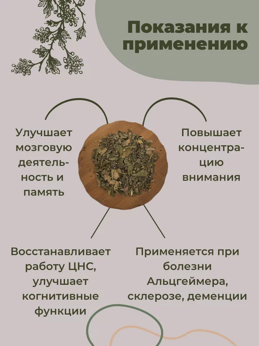 Магазин трав Земляника Ноотропный сбор трав ноотроп для мозга и памяти, вариант, фото 3