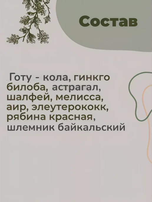 Магазин трав Земляника Ноотропный сбор трав ноотроп для мозга и памяти, вариант, фото 4