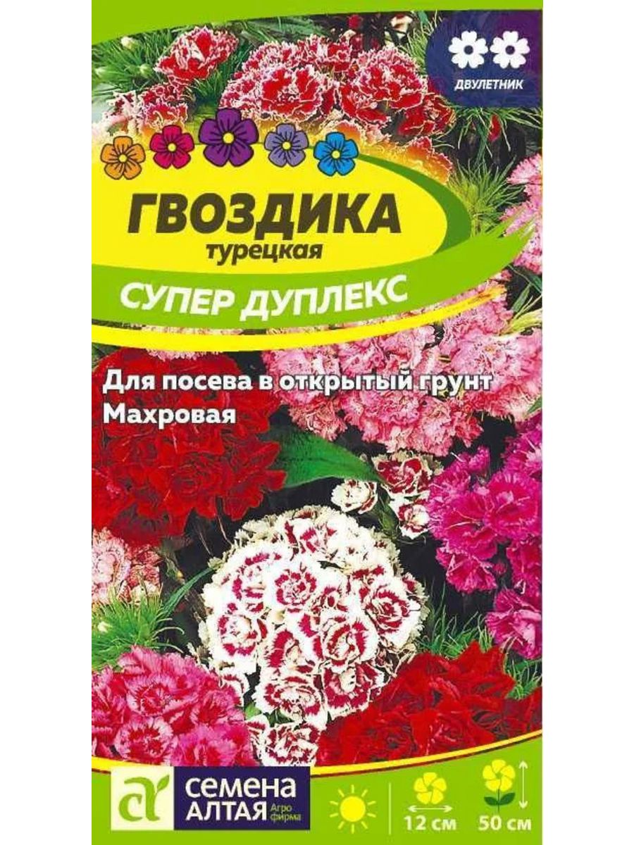 Гвоздика турецкая нигриканс. Гвоздика турецкая супер дуплекс. Гвоздика турецкая супер дуплекс смесь (п). Гвоздика турецкая нигриканс (Алтай).