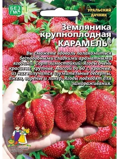 Клубника Купец (земклуника) Клубника на балконе 182821195 купить за 297 ₽ в интернет-магазине Wildberries