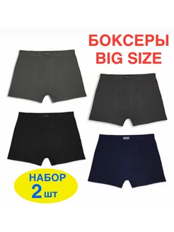 Трусы боксеры набор 2 шт цвета микс ТЭКЭРА underwear 203613972 купить за 490 ₽ в интернет-магазине Wildberries