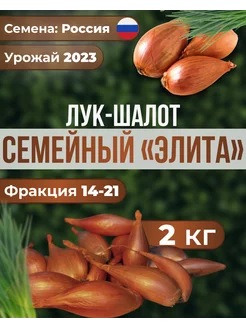 Лук шалот Семейный на зелень 2 кг чесночок 203627093 купить за 1 006 ₽ в интернет-магазине Wildberries