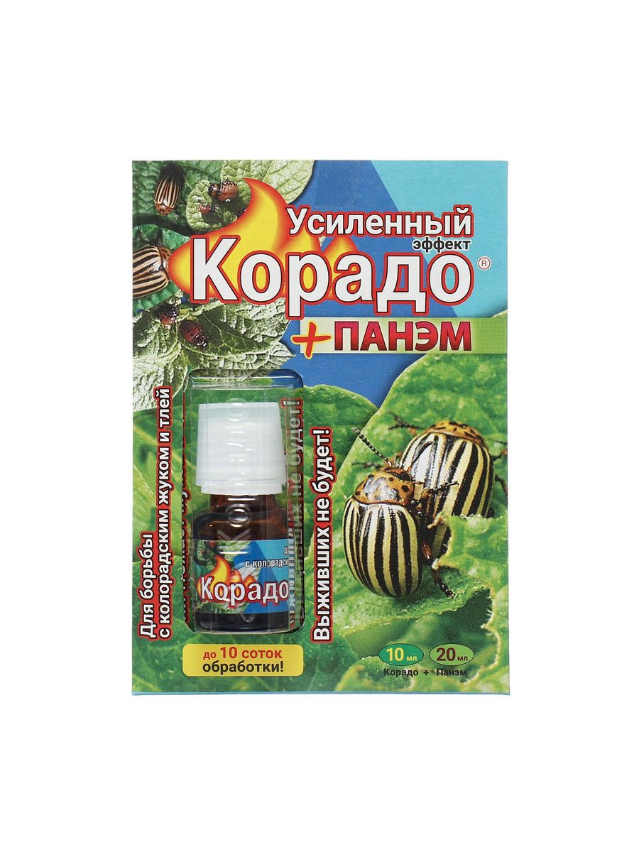 Корадо панэм