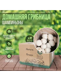 Набор для выращивания шампиньонов NatureGreen 203648902 купить за 255 ₽ в интернет-магазине Wildberries