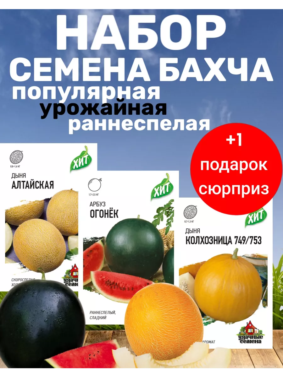 семена Арбузы, Дыни