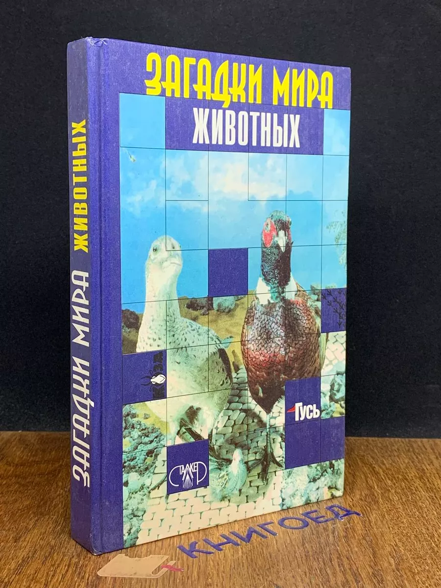 Загадки мира животных Сталкер 203676506 купить за 335 ₽ в интернет-магазине  Wildberries