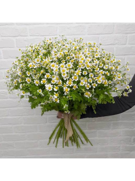 Studio Floristic Букет живых цветов «Летний день», белый, фото 3