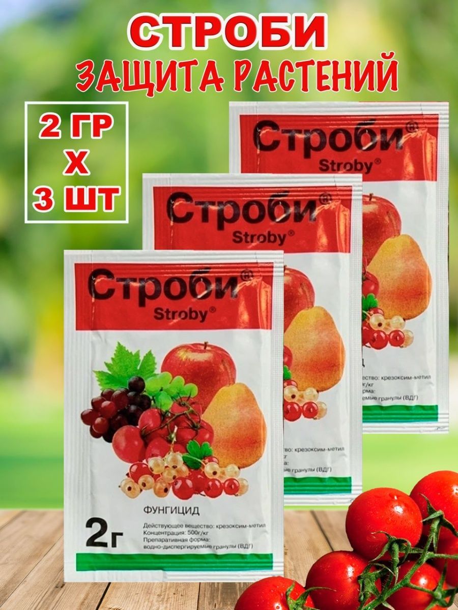 Строби фунгицид срок ожидания. Строби 2 г. Препарат Строби. Строби. Можно ли смешивать Строби и фундазол.