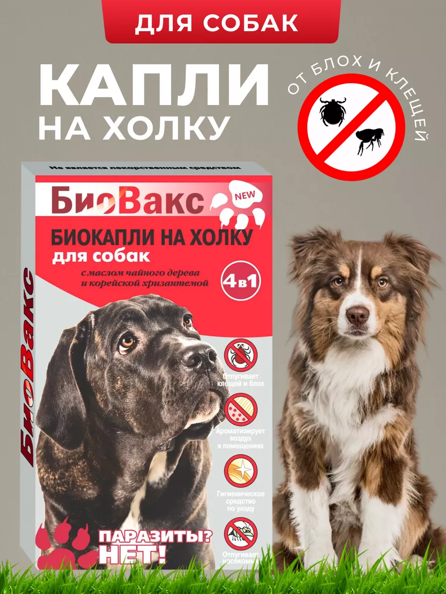 Капли от блох и...