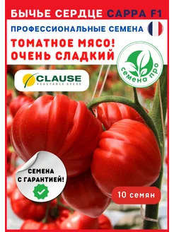 Семена клубники ремонтантной, 2 пак. ГОРОД СЕМЯН 27032700 купить за 169 ₽ в интернет-магазине Wildberries