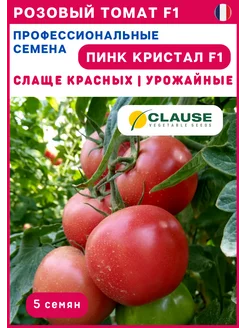 Семена розовых томатов СЕМЕНА ПРО 203937760 купить за 292 ₽ в интернет-магазине Wildberries