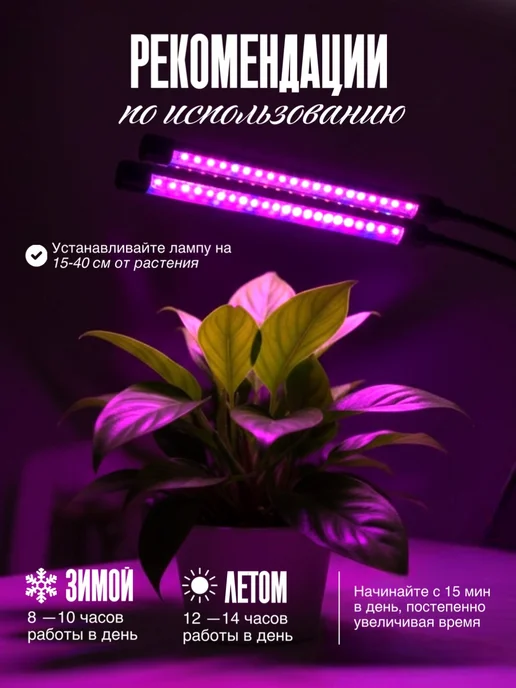 Eligio Фитолампа для растений и рассады на прищепке полного спектра, вариант, фото 2