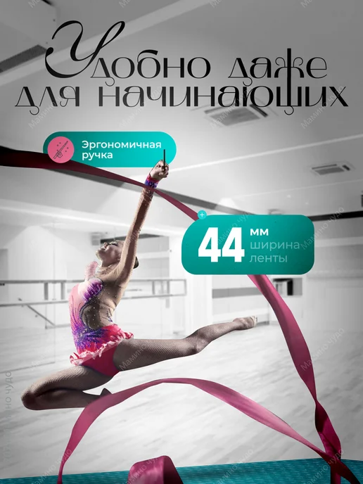 SPORT KINGDOM Лента для художественной гимнастики с палочкой, 2 метра, вариант, фото 7