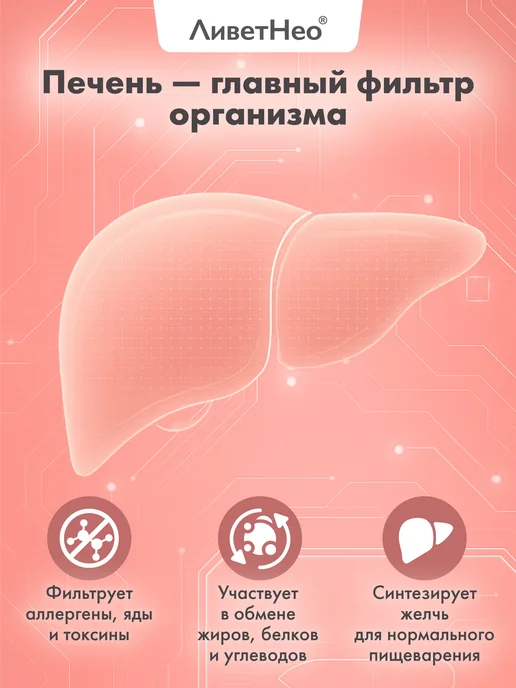ЛиветНео для печени для кошек и мелких собак 50 мл, 50 мл, фото 2