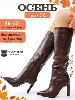 Сапоги демисезонные на шпильке Raffa Shoes 204175781 купить за 3 270 ₽ в интернет-магазине Wildberries