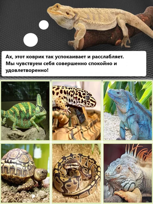 MrPets Коврик для террариума и рептилий, черный, фото 6