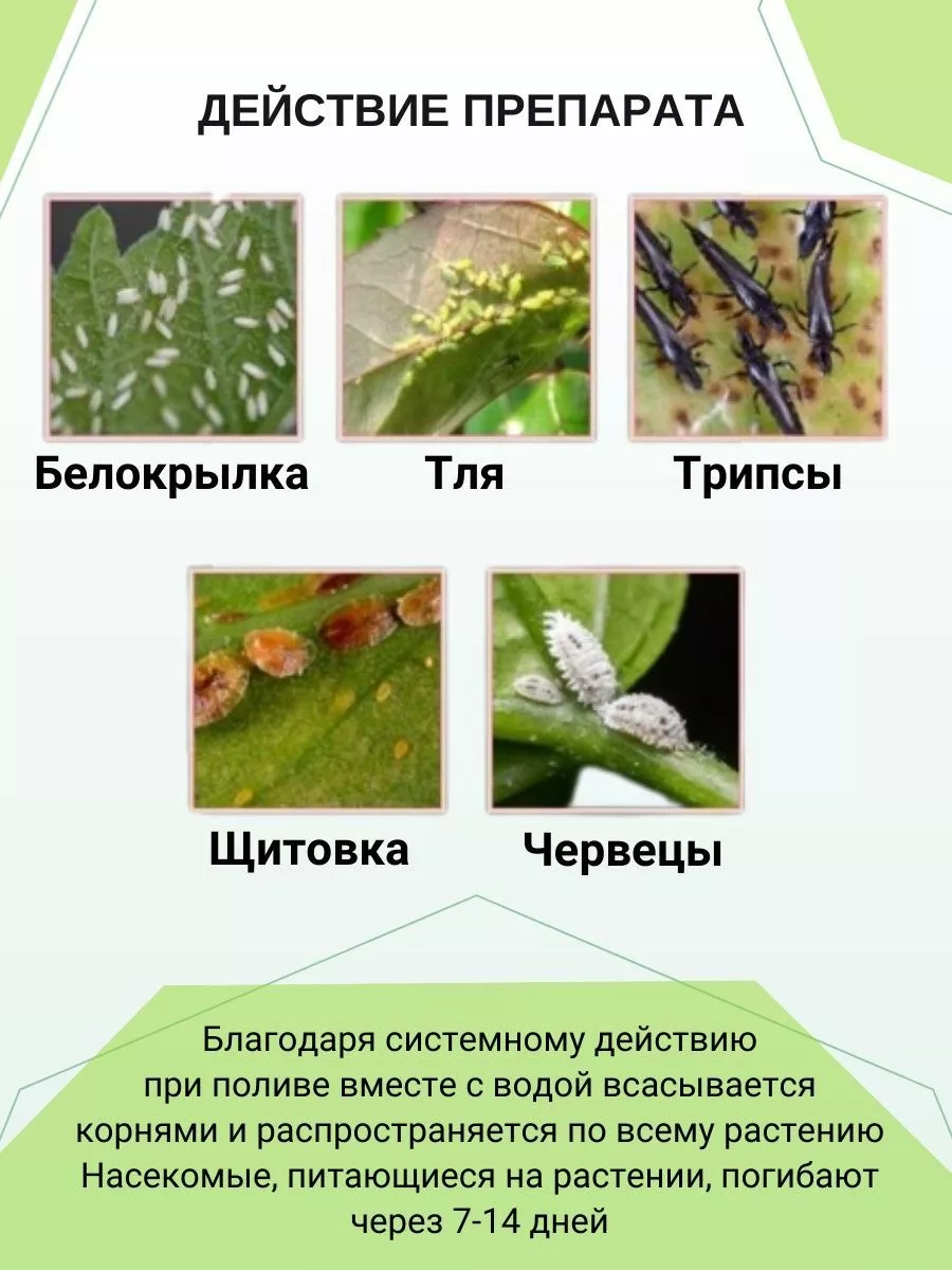 Средство от тли и белокрылки для комнатных цветов 204246860 купить за 405 ₽  в интернет-магазине Wildberries