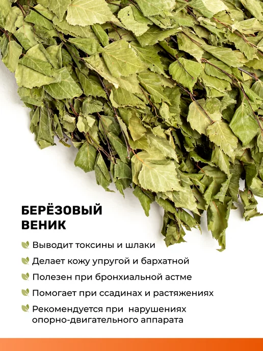 Roz&Ik Веники для бани и сауны березовый 2026, 7 шт, фото 3