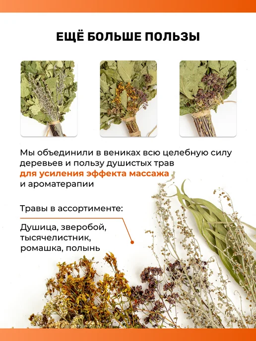 Roz&Ik Веники для бани и сауны березовый 2026, 7 шт, фото 5
