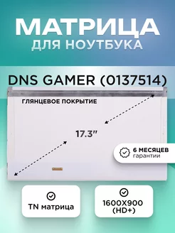 Матрица для DNS Gamer (0137514) HD+ TN глянцевая ЭЛЕМЕНТ 204382231 купить за 3 369 ₽ в интернет‑магазине Wildberries