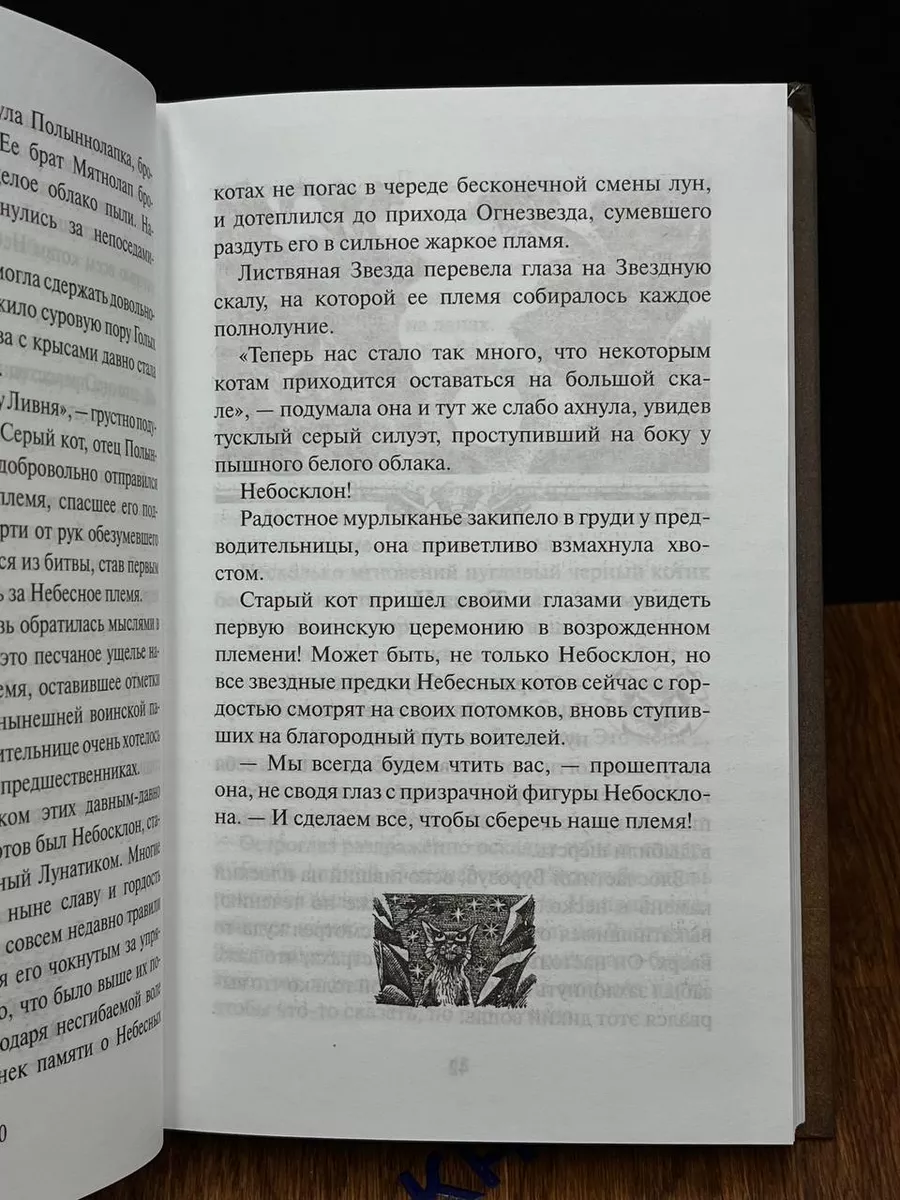 Коты-Воители. Судьба Небесного племени. Сомнение Абрис 204450073 купить в  интернет-магазине Wildberries